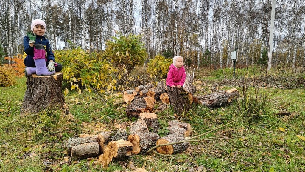 Две девочки на пнях среди распиленных брёвен на осеннем участке