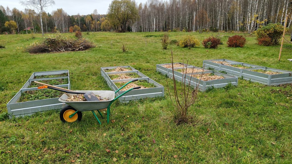 Осенние грядки, садовая тачка и деревья на загородном участке