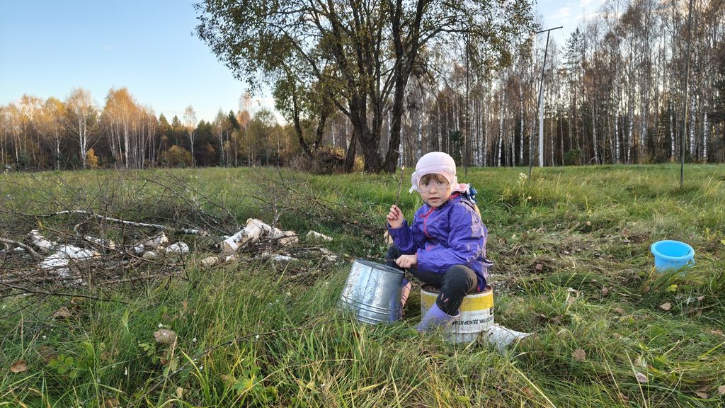 Девочка на осеннем участке рядом с ветками и металлическим ведёрком